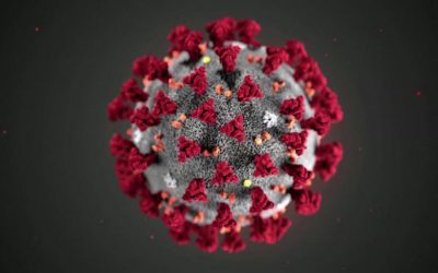 Corona virus pandemic